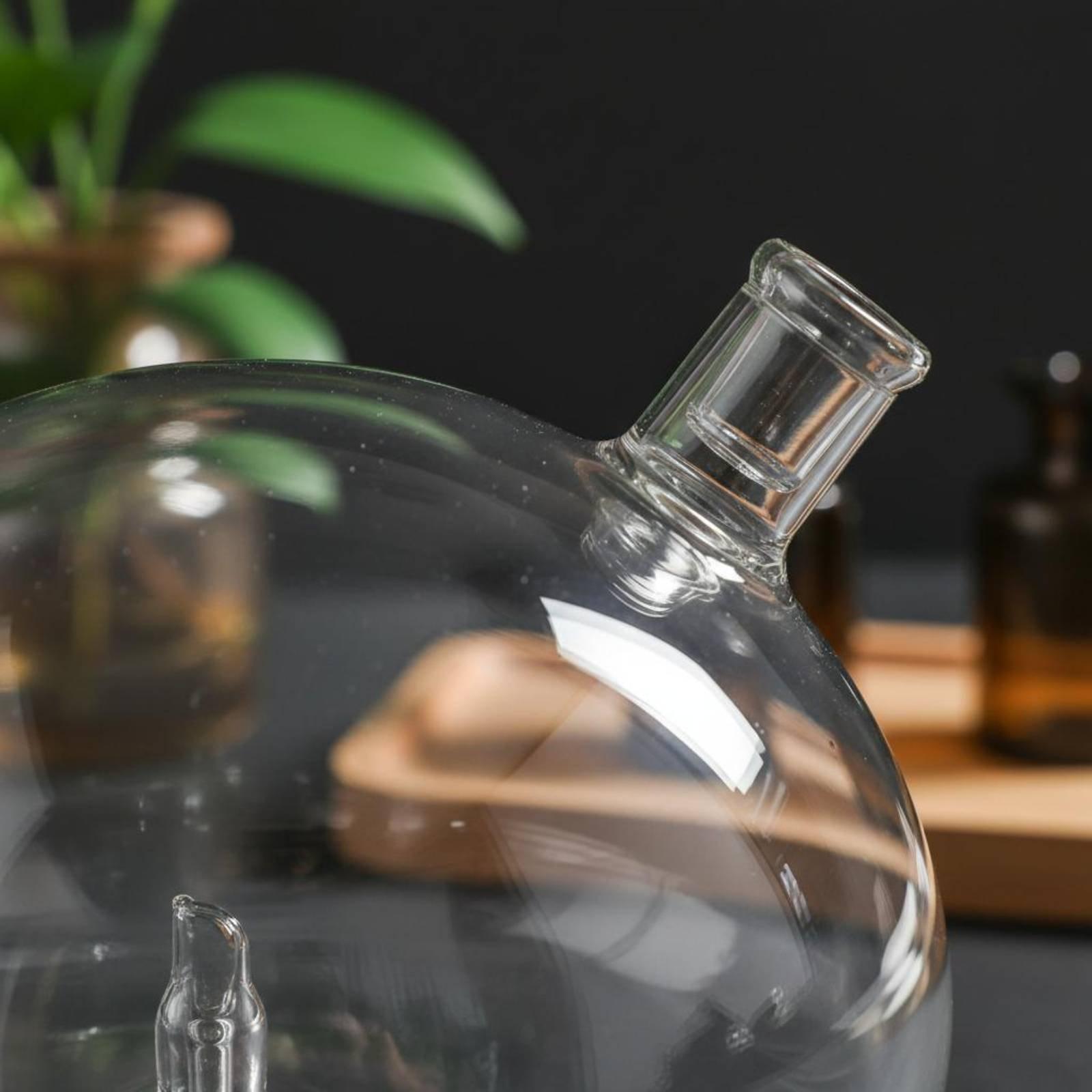 Diffuserfles Universele pasvor - Home Fragrance Diffusers recensie en prijs